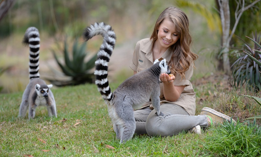 Image 4: Admission and Hospital Sneak Peek to Australia Zoo