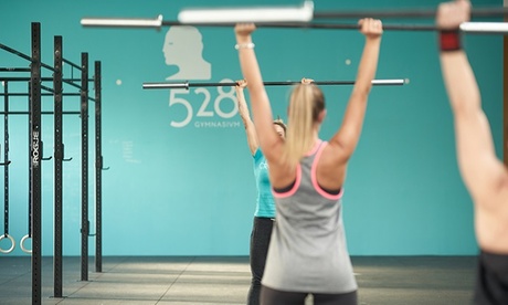 10 lezioni crossfit o calisthenics per una o 2 persone da 528 Gymnasium (sconto 87%)