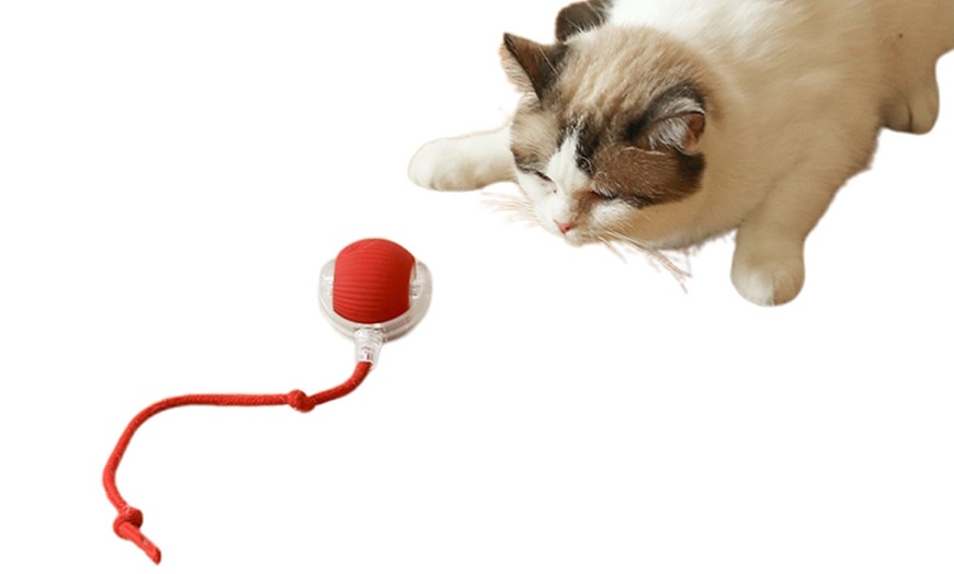 Image 6: Interactive Electric Cat Rolling Ball Toy