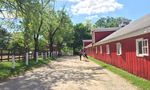 Enjoy 2 60-Minute Group Horseback-Riding Lessons with Barn Management