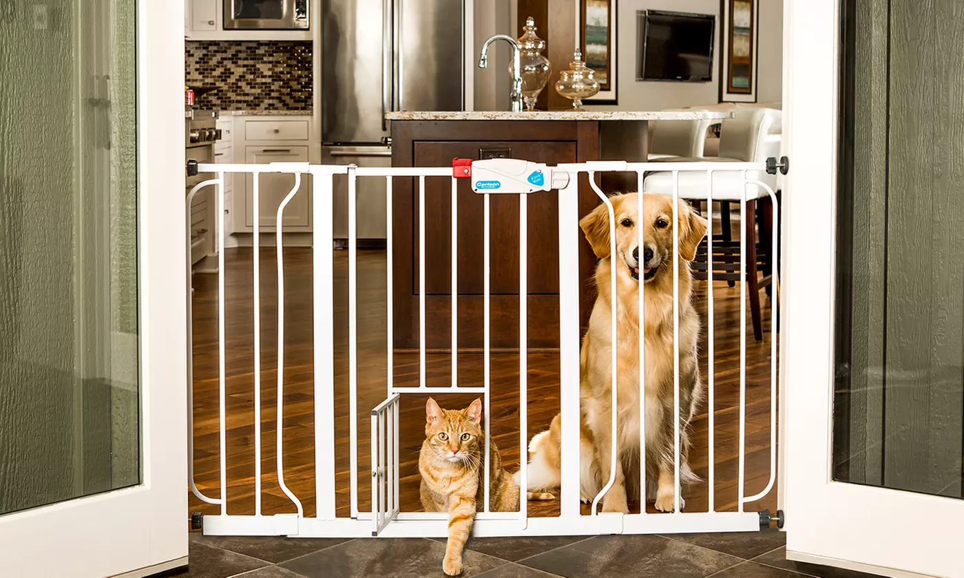Walk-Through Pet Gate with Small Pet Door - Primary Image