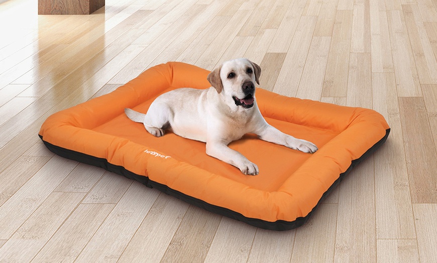 Image 13: Large Flat Dog Beds