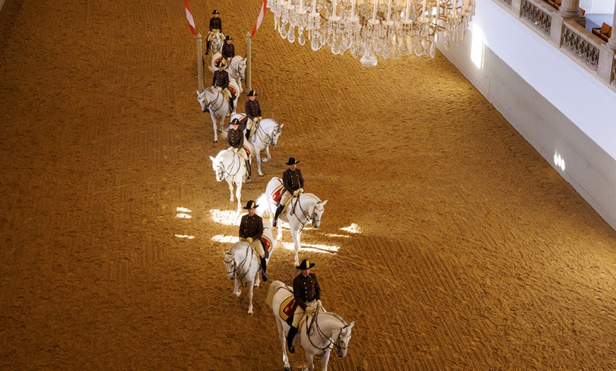 Image 4: Grab Your Tickets to the Most Majestic Horse Show in the UK