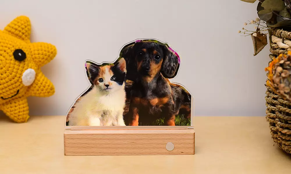 Foto-Nachtlicht mit Holzsockel