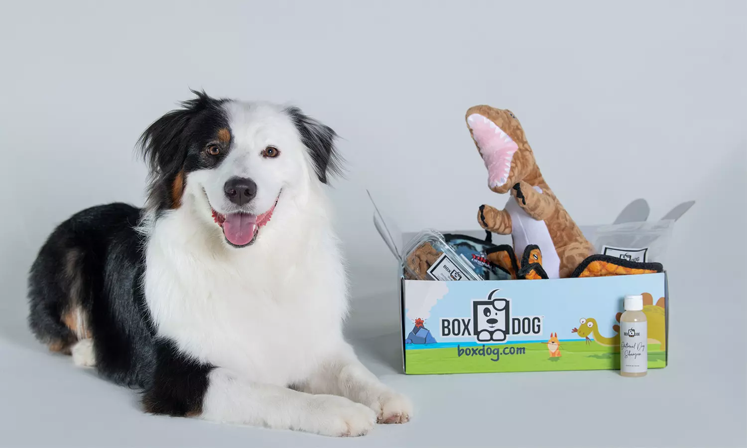 Two or Three Item Box Subscription with Free Canvas Backpack from BoxDog (Up to 43% Off). New Customers Only. - Primary Image