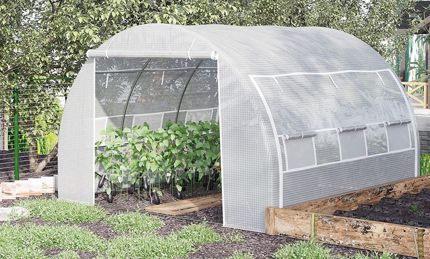 Image 16: Outsunny Walk-In Garden Greenhouse