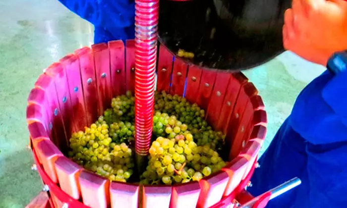 Visita guiada a la bodega y cata de vinos en Bodegas Urbina