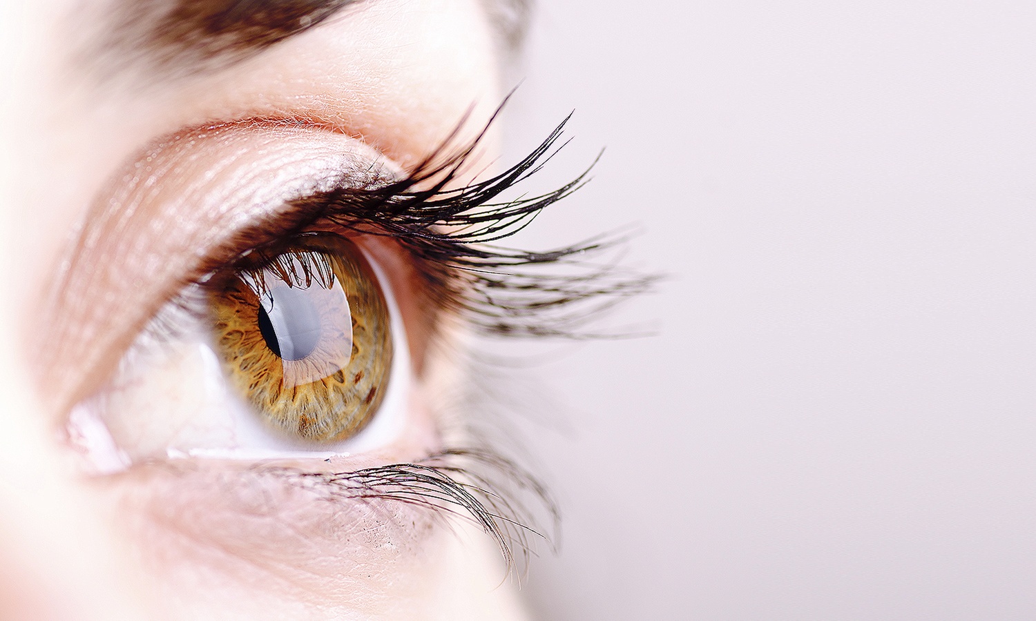 Discover Stunning Eyelash Extensions for Every Occasion