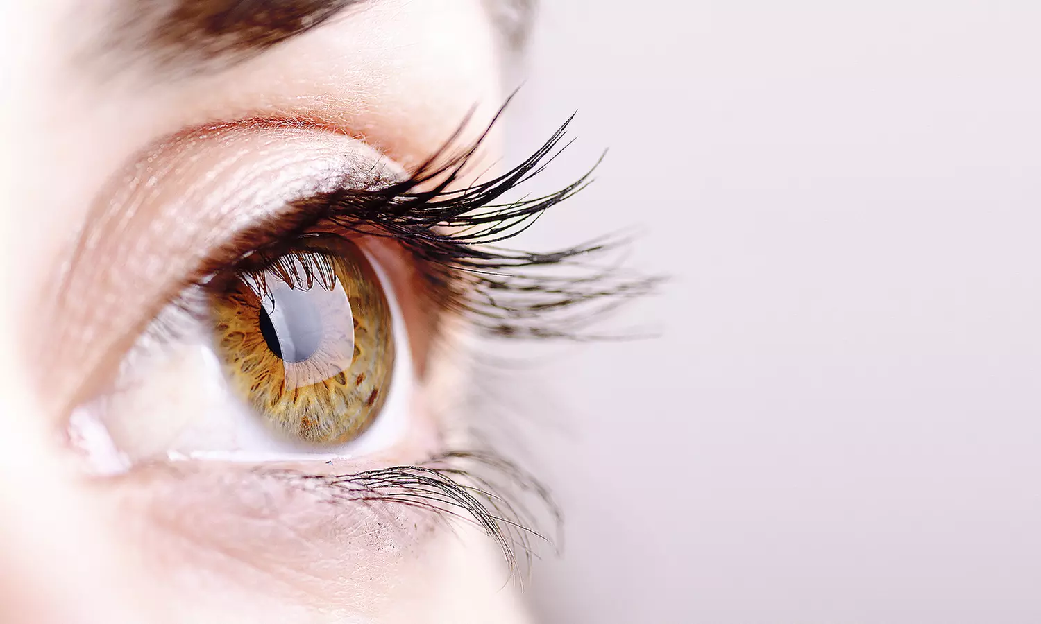 Eyelash Extenstions at The Lashing (Up to 48% Off). Two Options Available. - Primary Image