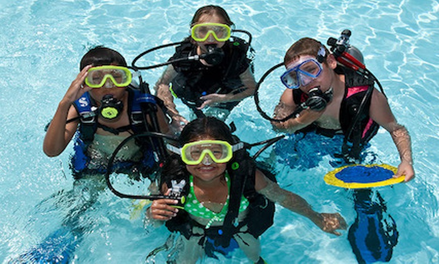 Image 5: Scuba Diving or Mermaid Experience at UK Diving Academy