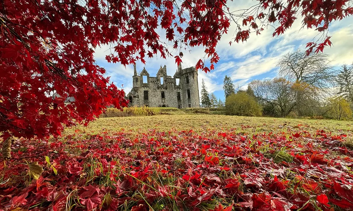 Word Lord of Lady van Dunans Castle