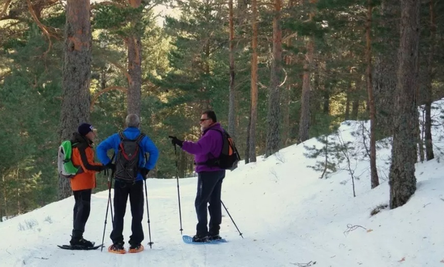 Image 5: Excursión con raquetas por la Sierra de Guadarrama para 1 o 2 personas