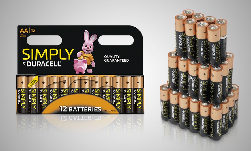 Image 2: Set van 12, 24 of 36 Duracell AA- of AAA-batterijen