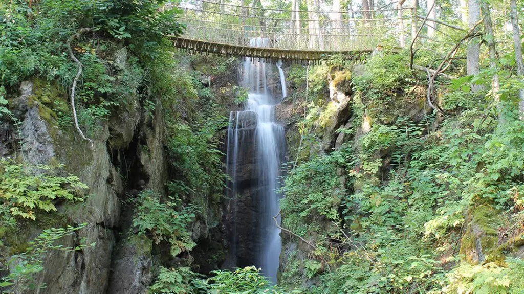 Up to 43% Off on Hiking Trails at Foxfire Mountain Adventure Park - Primary Image