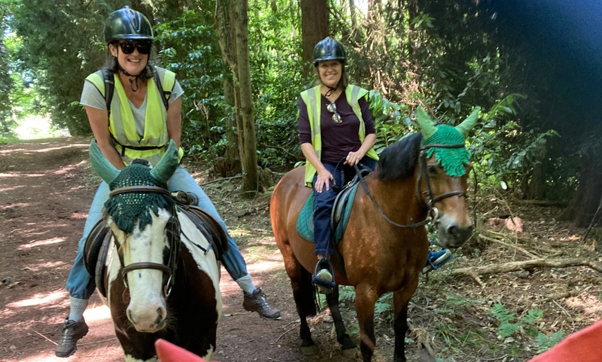 Image 11: Horse Riding and Trekking Lesson at SevernwyeEquestrian