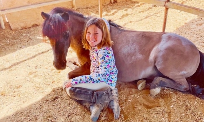 Up to 28% Off on Horse Back Riding at PonyTime Parties and Lessons