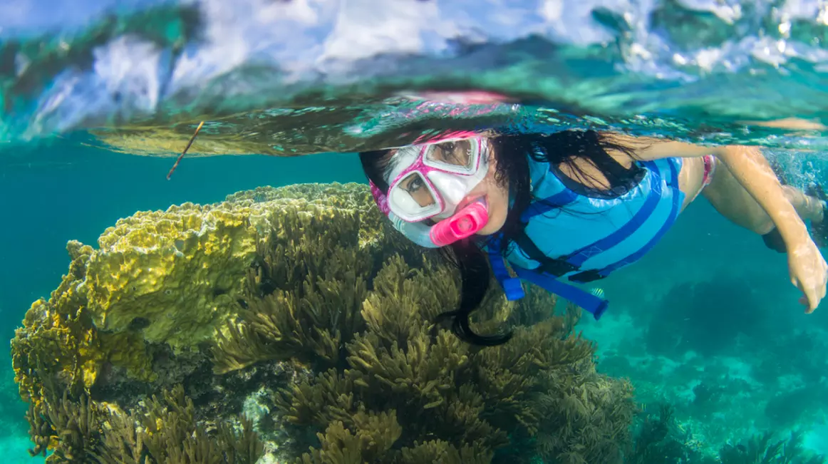 Paradise Snorkel Tour for One Child or Adult from Aquaworld - Cancun, Mexico  - Second Medium