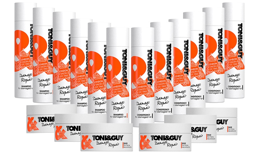 Image 6: Toni & Guy Hair Care Products