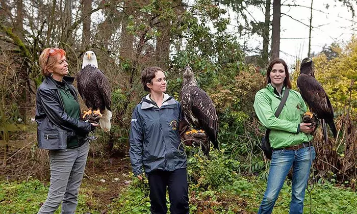 Admission for Two or Four or Hands-On Encounter for Two at The Raptors (Up to 41% Off) - Primary Image