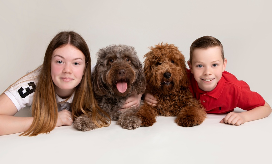 Image 8: Capture Precious Pet Moments in Studio at Barrett & Coe studios