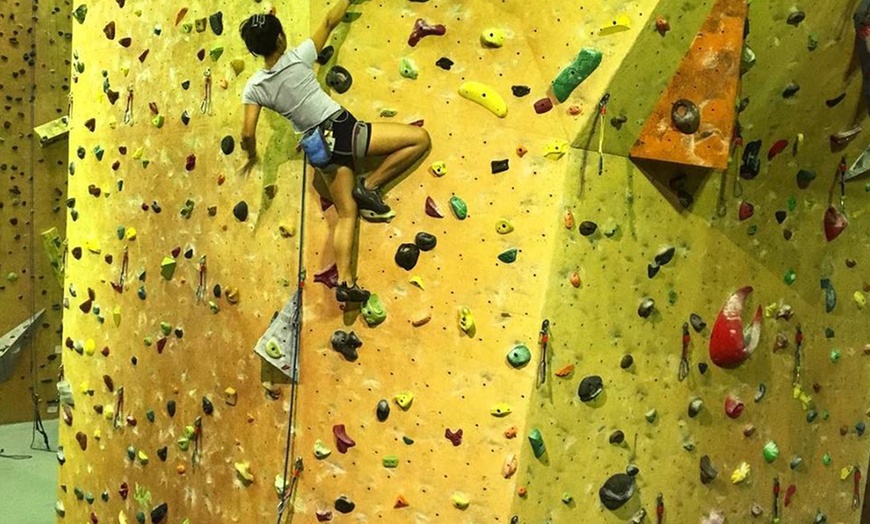 Image 7: All Day Climbing Pass with Equipment for One Child, Adult, or a Family