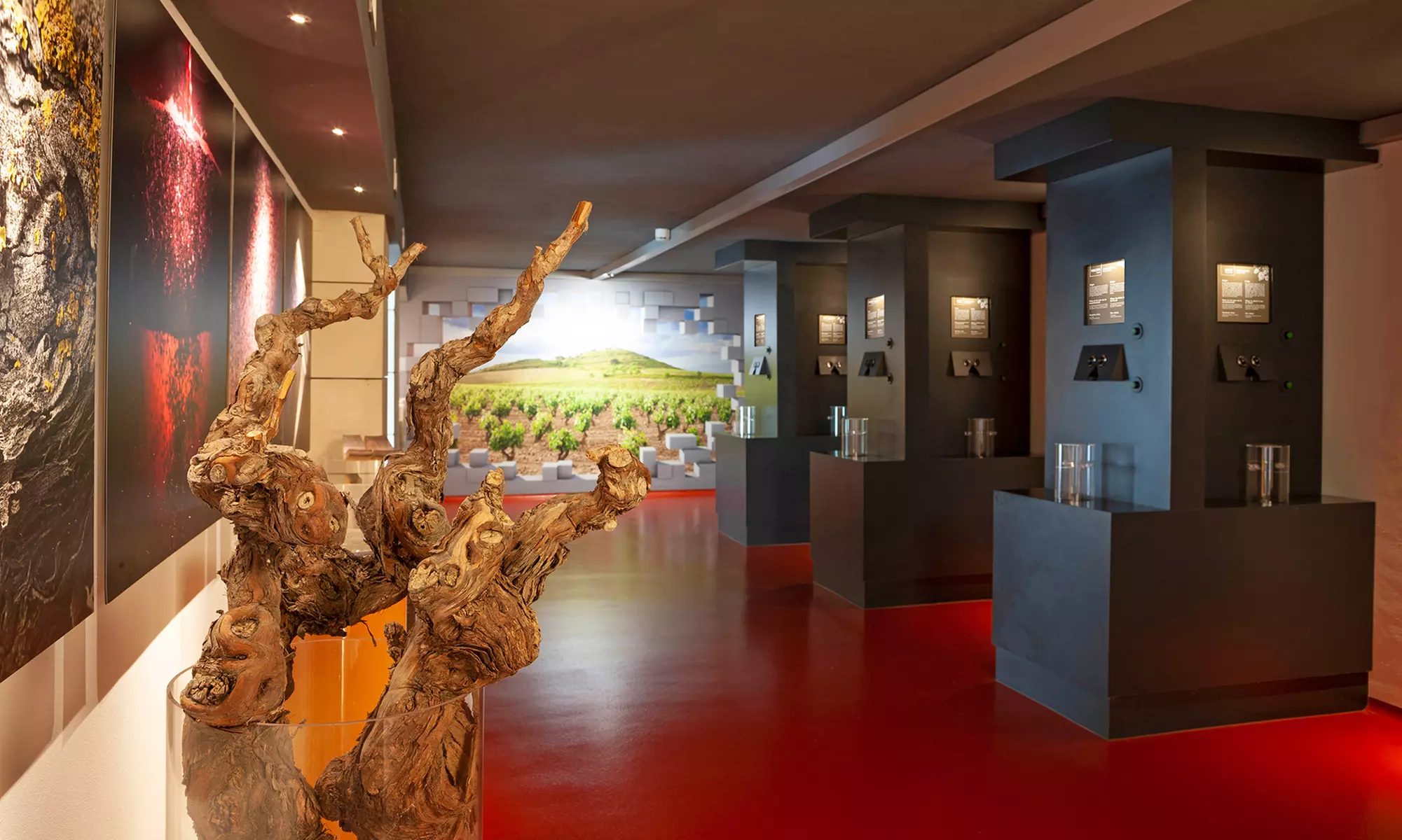 Visita a bodega con cata de 3 vinos y aperitivo para 2 o 4 personas