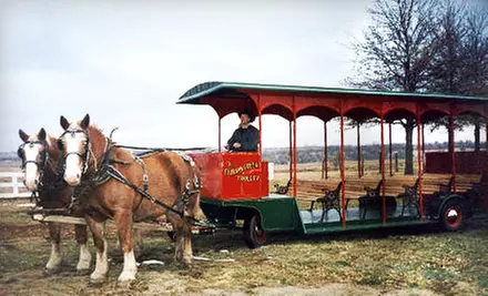 Winery Tour in a Horse-Drawn Trolley from Temecula Carriage Company (Up to 61% Off). Three Options Available. - Primary Image
