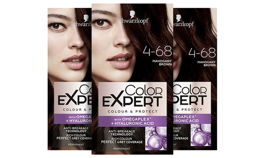 Image 18: Schwarzkopf Color Expert Hair Dye