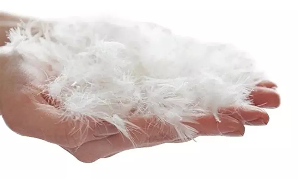 Matrastopper met vulling van natuurlijke eendenveren