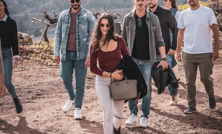 Image 5: Menú comida con visita a bodega con paseo por la finca y cata de vino