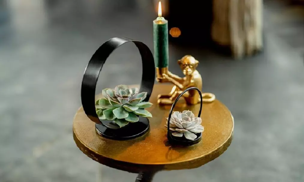 Succulent sans racines, décoration verte élégante, pas besoin de terre - Image 4