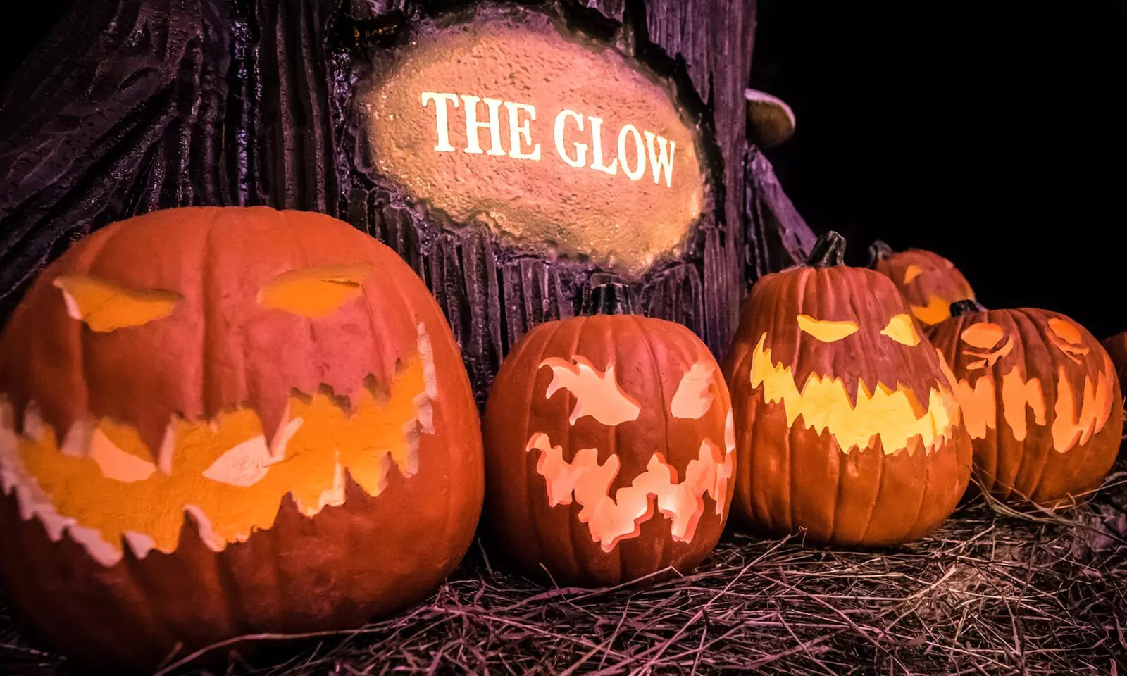 Ticket to The Glow: A Jack O'Lantern Experience (October 4–28) - Primary Image
