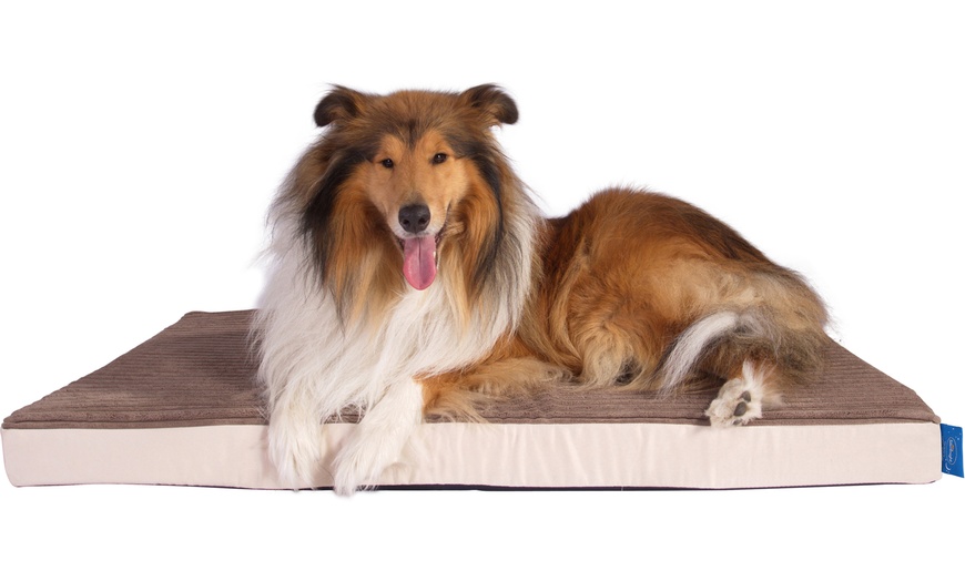 Image 7: Silentnight Memory Foam Dog Bed