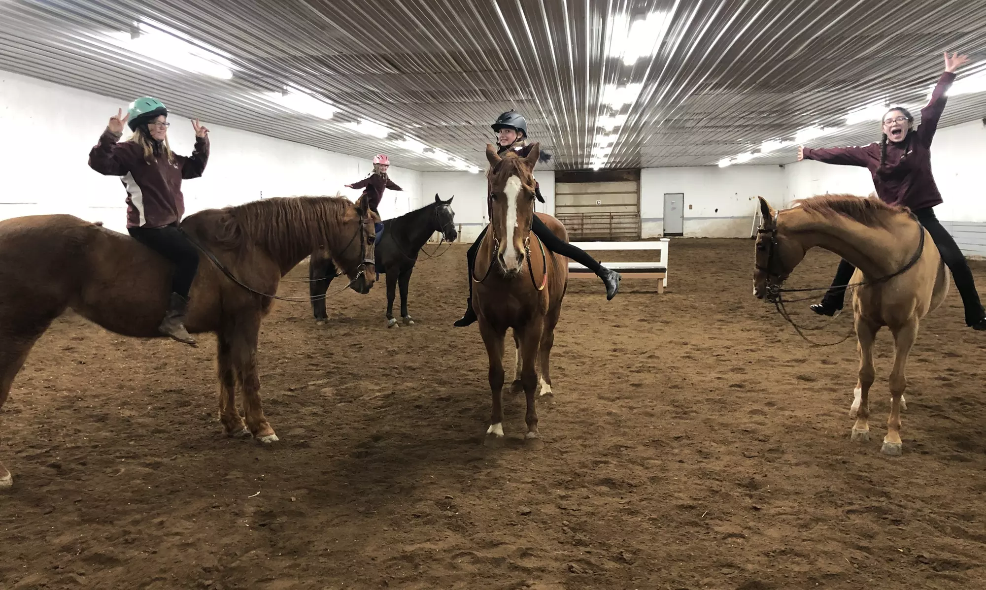 Two Horseback-Riding Lessons at Executive Farms (66% Off) - Primary Image