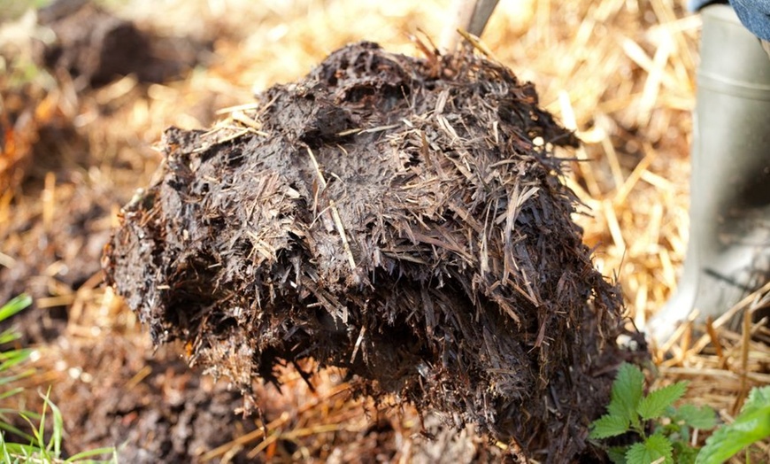 Image 5: One or Two Garden Mulch Collections