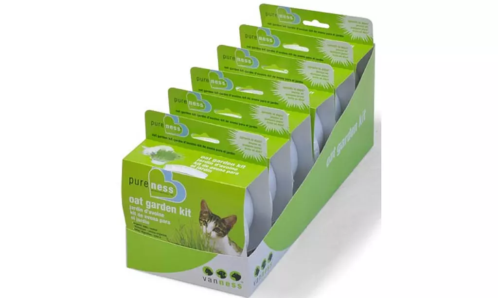 Van Ness Cat Oat Grass Garden Kit (6-Pack) - Second Medium