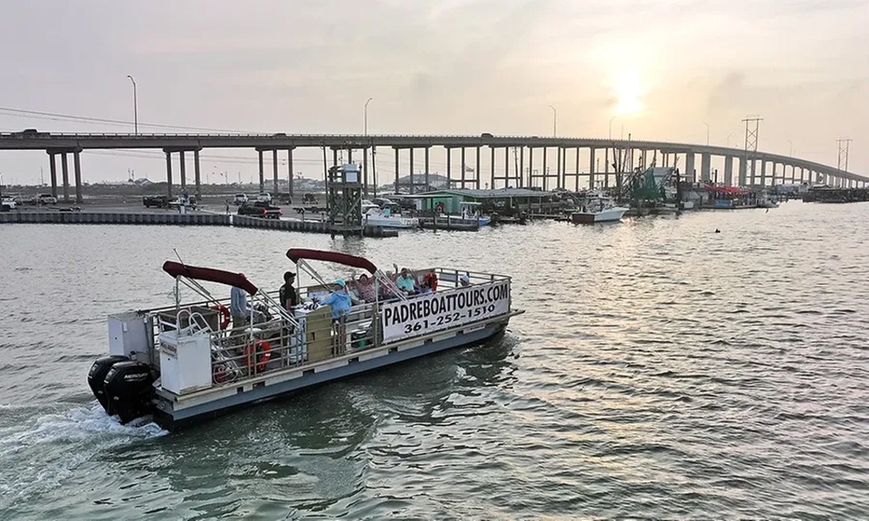 Explore Island Sunsets and Dolphin Views on an Exclusive Boat Tour