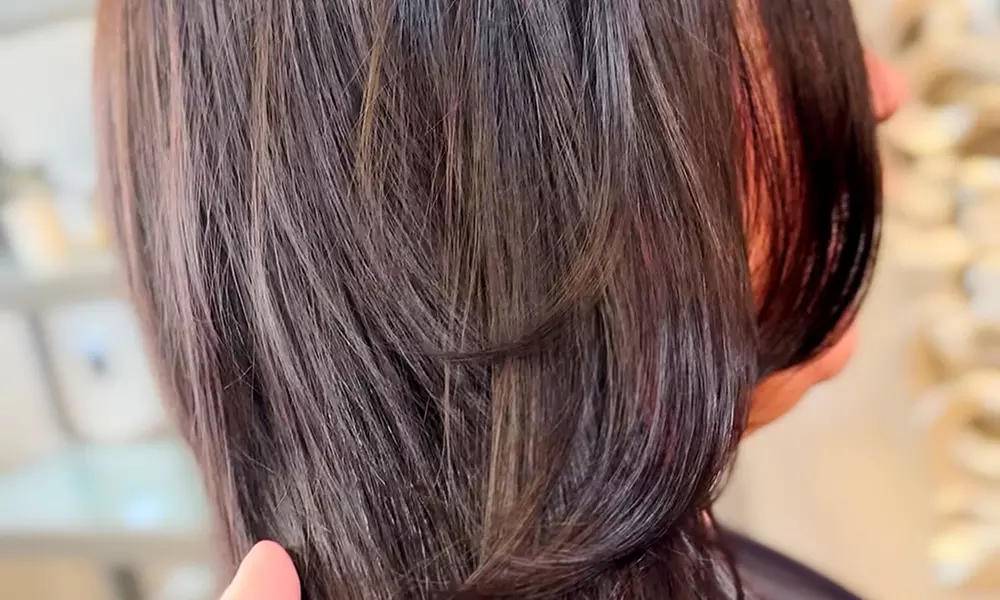 Women’s single process, Haircut or Half a Head of Highlight & Blow Dry