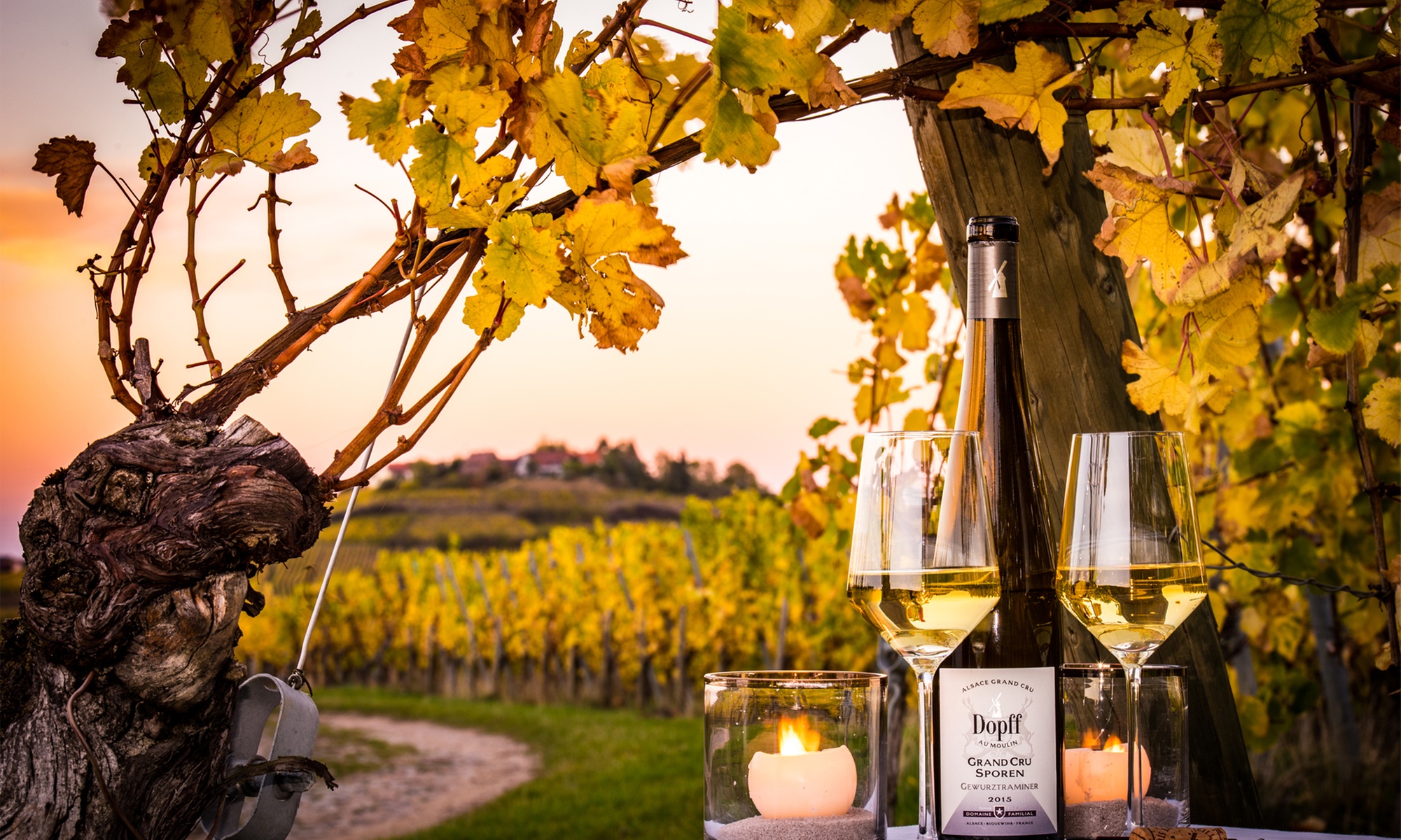 Dégustation de vin au domaine Dopff au Moulin