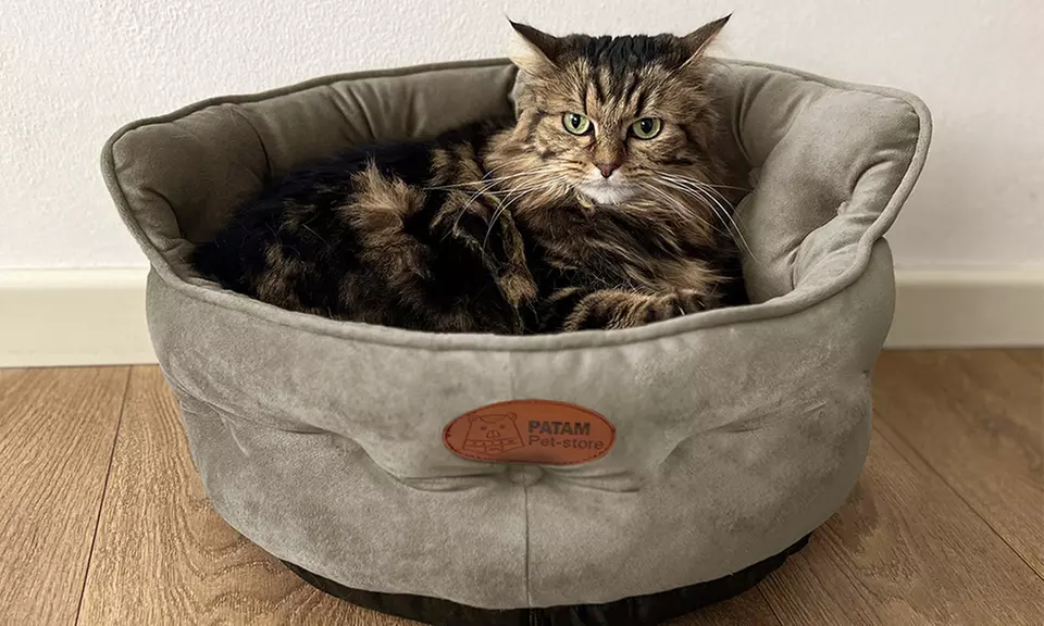 Cucce, lettini e divanetti per cani e gatti in vari modelli e misure