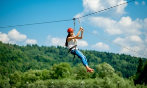 Activity for Up to One, Two or Four People at Dells Zipline Adventures