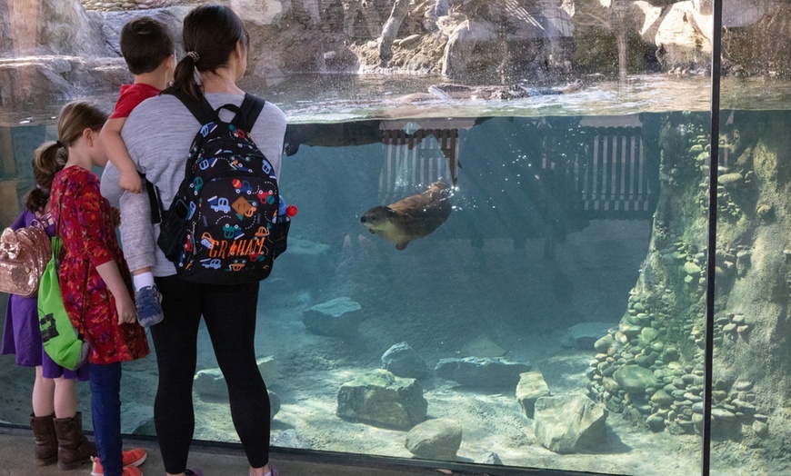 Image 2: Up to 26% Off All-Day Admission to Zoo Knoxville