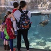 Image 2: Up to 26% Off All-Day Admission to Zoo Knoxville