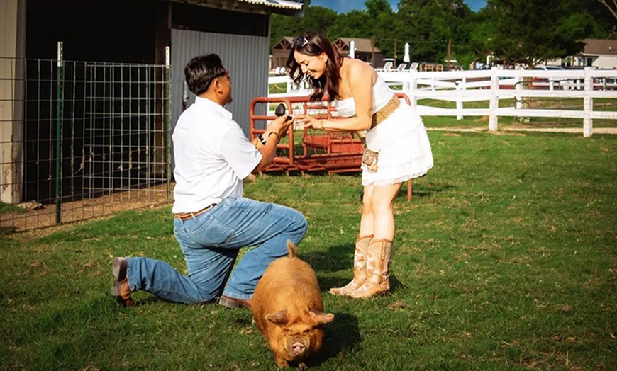 Image 3: Up to 84% Off on 1-3 Hour Couples or Wedding Photo Sessions 