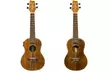 Sawtooth Acacia Concert or Soprano Ukulele Bundle (5-Piece) - Second Medium