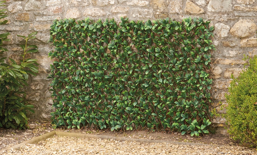 Image 5: One or Two Expandable Artificial Hedge Trellis 1m x 2m