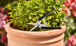 Garden Gear Pruner or Secateurs