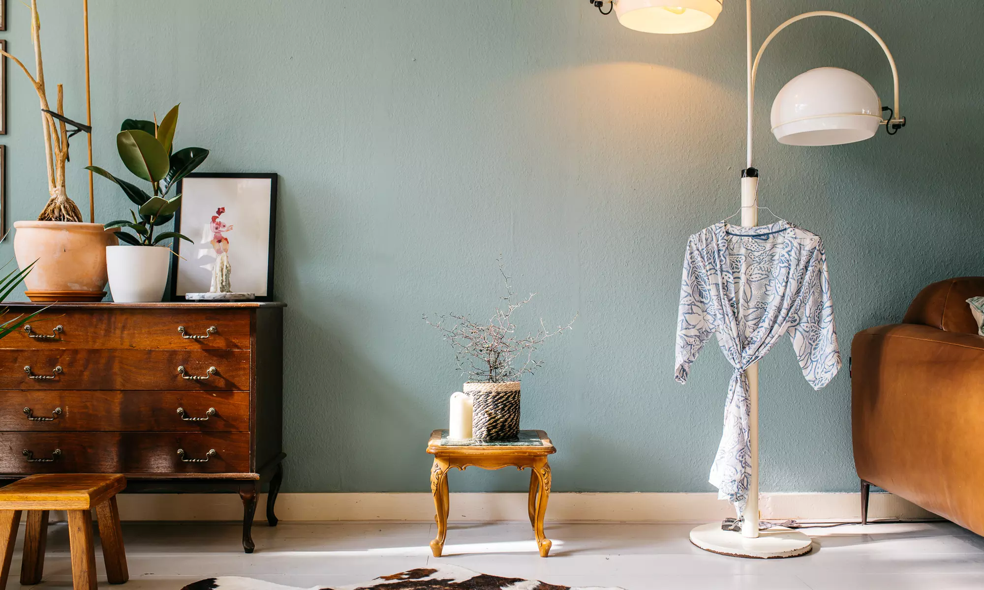 Lot de 3 plantes Corokia Cotoneaster, pot inclus - Second Medium