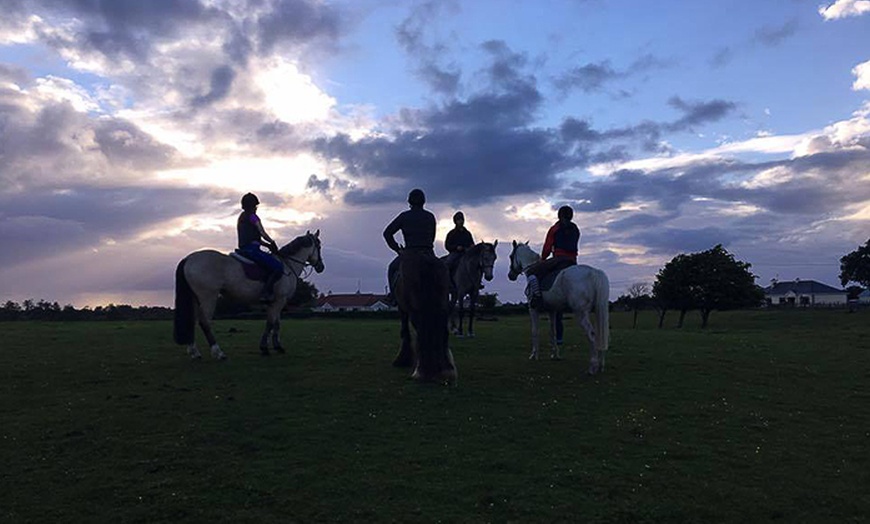 Image 6: 90-Minute Horse Riding Session