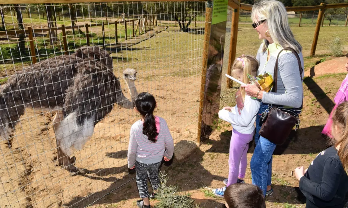 Admission for Two, Four, or Six Adults or Children to Children's Nature Retreat (Up to 40% Off) - Primary Image